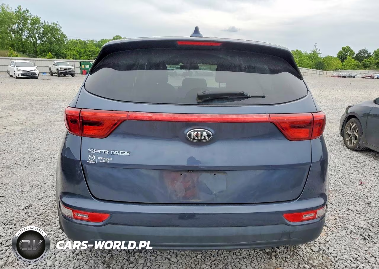 2019 Kia Sportage Lx VIN:KNDPMCAC8K7494678 - 6