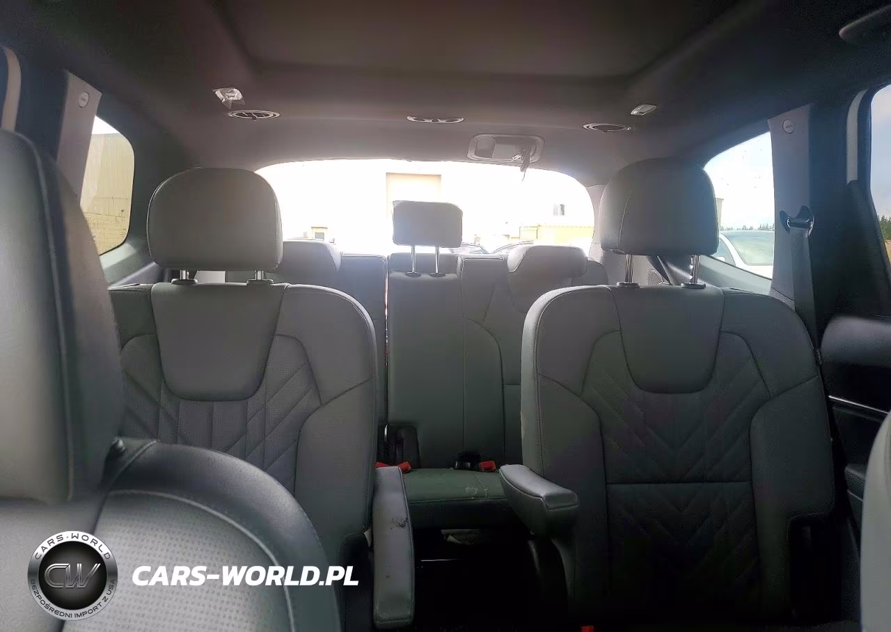 2024 Kia Telluride Sx X-Pro VIN:5XYP5DGC3RG553935 - 10