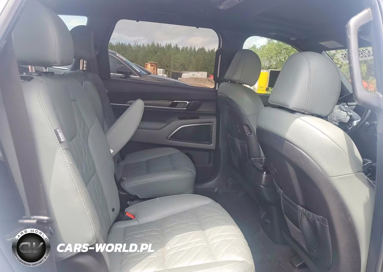 2024 Kia Telluride Sx X-Pro VIN:5XYP5DGC3RG553935 - 11