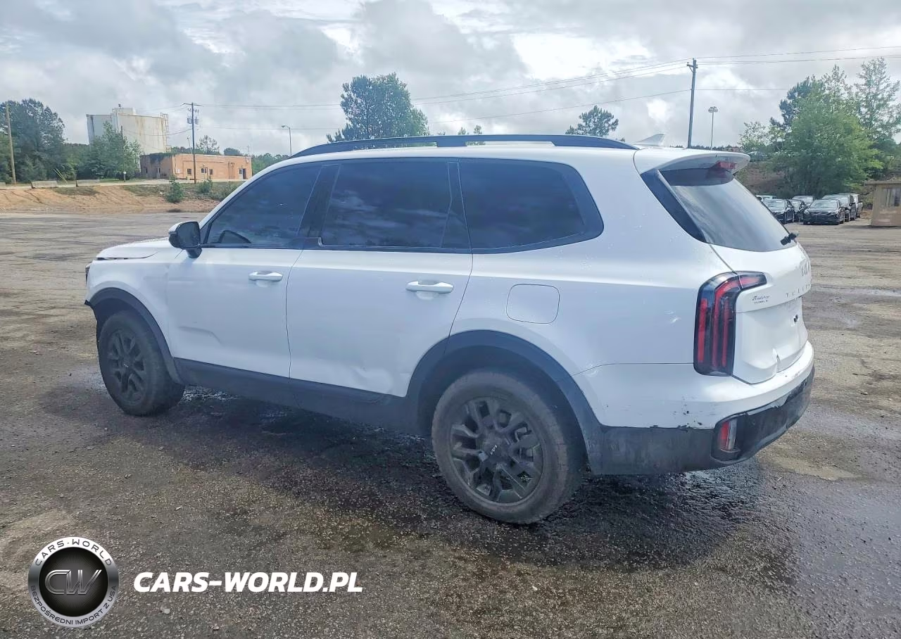 2024 Kia Telluride Sx X-Pro VIN:5XYP5DGC3RG553935 - 2