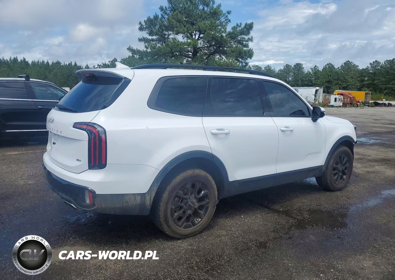 2024 Kia Telluride Sx X-Pro VIN:5XYP5DGC3RG553935 - 3