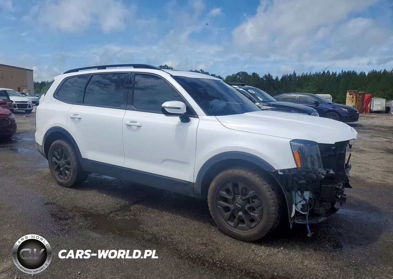 2024 Kia Telluride Sx X-Pro VIN:5XYP5DGC3RG553935 - 4