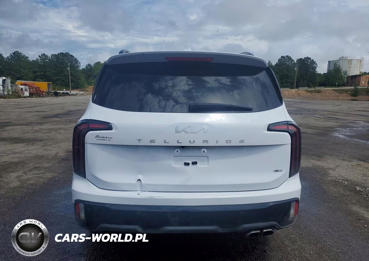 2024 Kia Telluride Sx X-Pro VIN:5XYP5DGC3RG553935 - 6