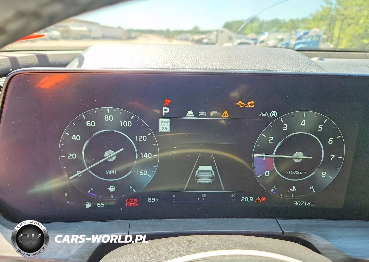 2024 Kia Telluride Sx X-Pro VIN:5XYP5DGC3RG553935 - 9