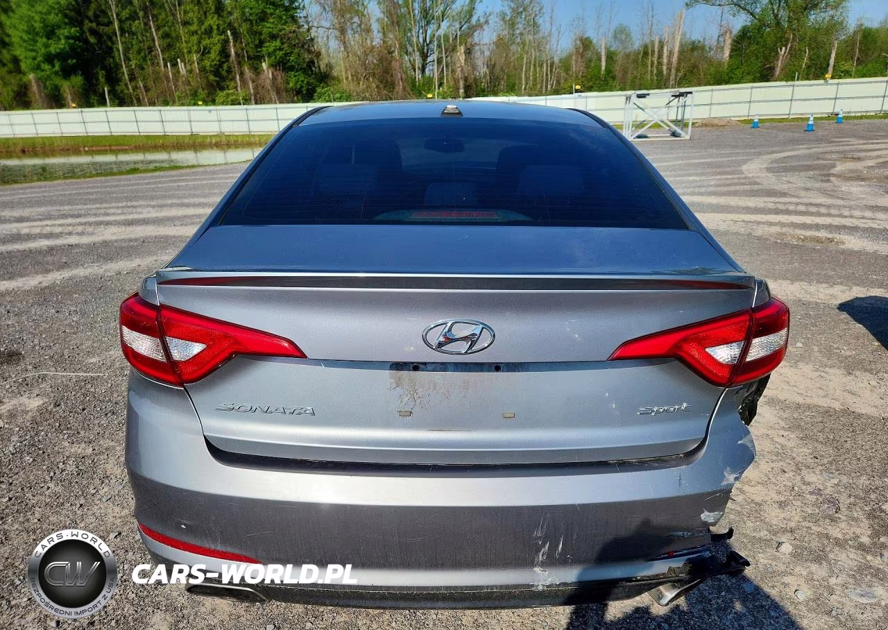 2016 Hyundai Sonata Sport VIN:5NPE34AF0GH410687 - 6