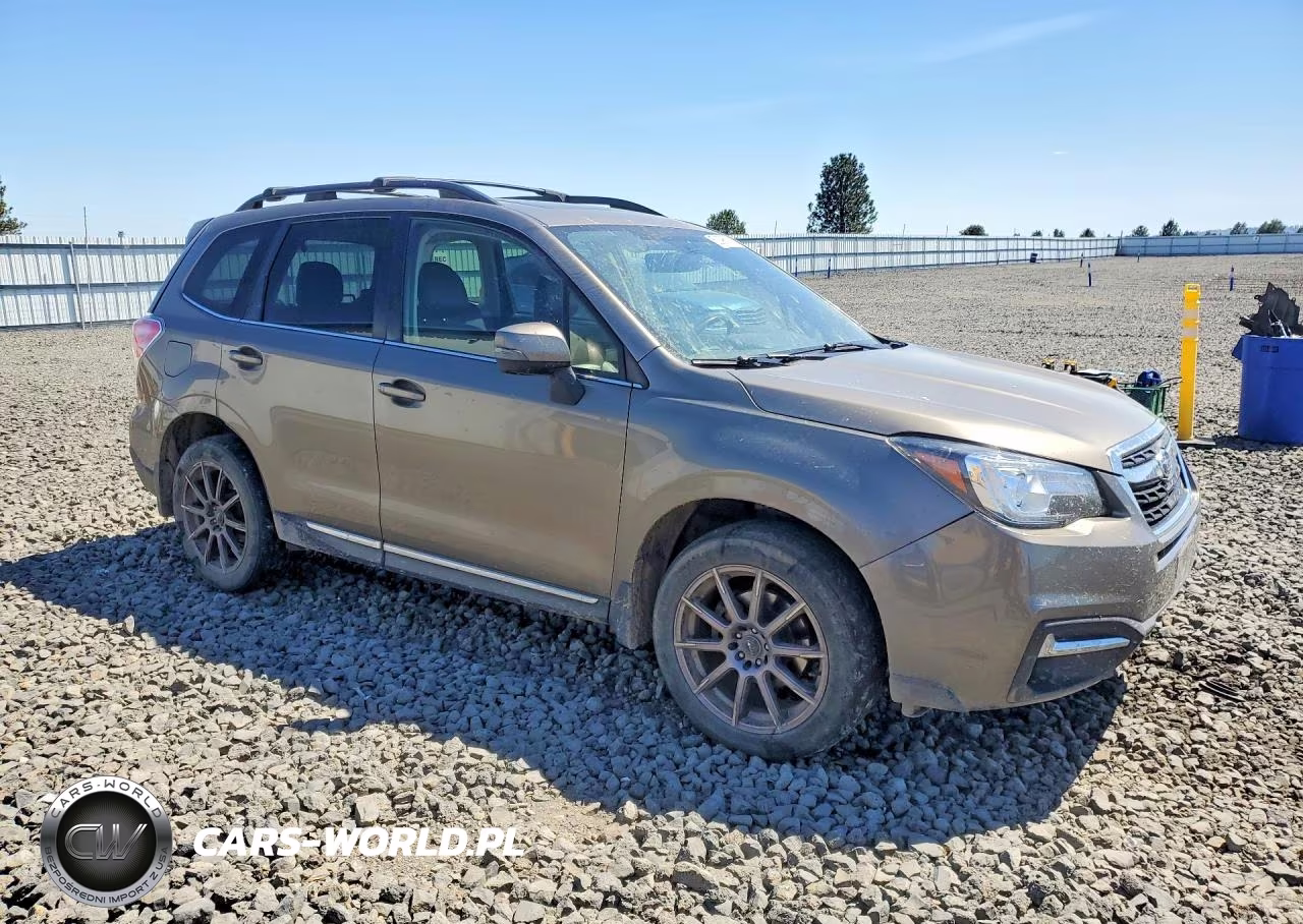 2017 Subaru Forester 2.5I Touring VIN:JF2SJAWC4HH592319 - 4