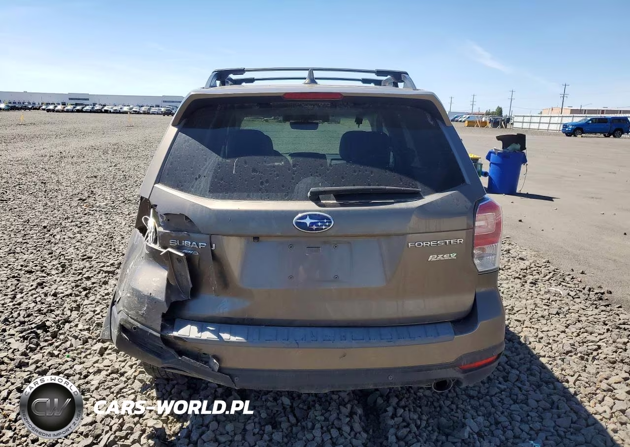 2017 Subaru Forester 2.5I Touring VIN:JF2SJAWC4HH592319 - 6
