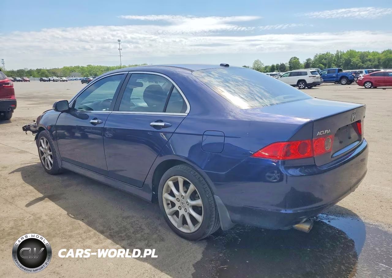 2006 Acura Tsx VIN:JH4CL96856C013774 - 2