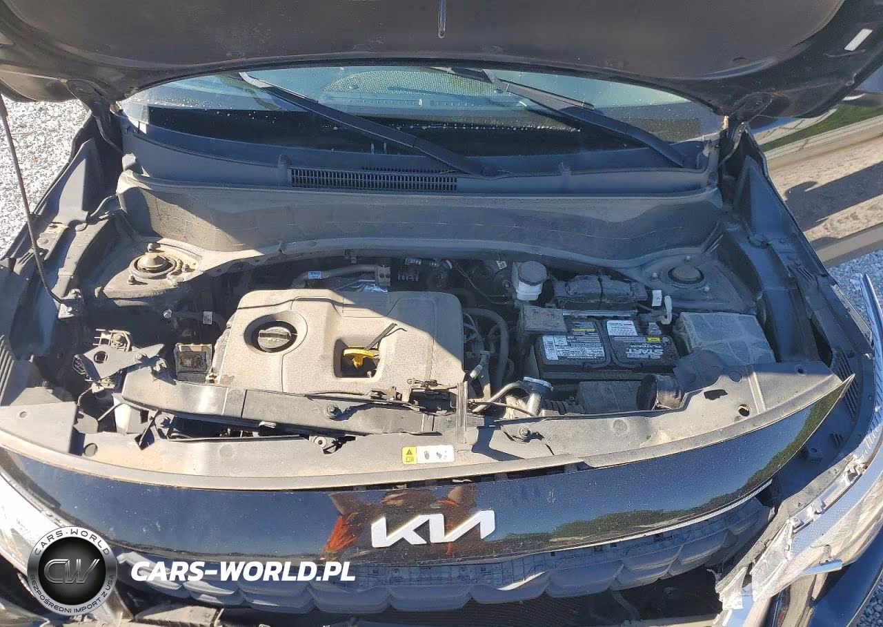 2022 Kia Seltos Lx VIN:KNDEPCAA4N7319202 - 12