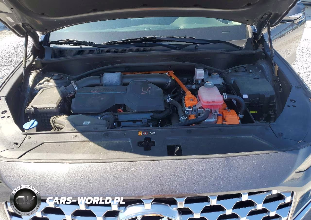 2021 Hyundai Santa Fe Limited VIN:KM8S5DA17MU003402 - 11
