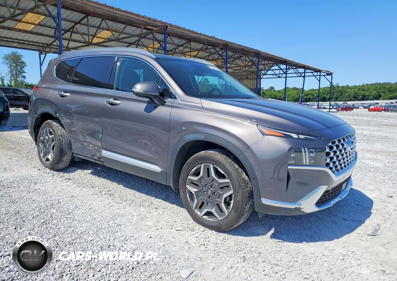 2021 Hyundai Santa Fe Limited VIN:KM8S5DA17MU003402 - 4