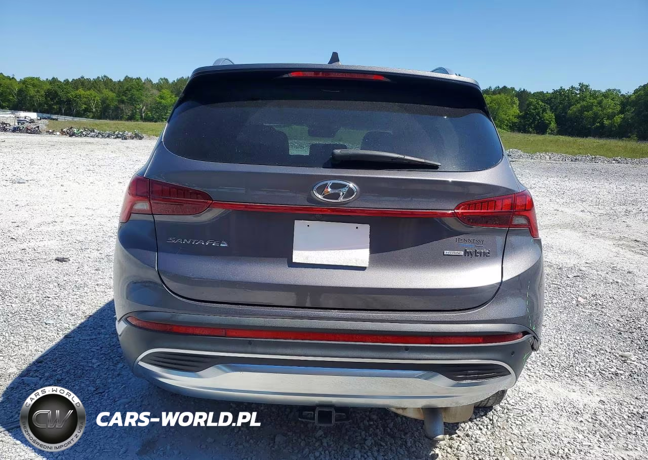 2021 Hyundai Santa Fe Limited VIN:KM8S5DA17MU003402 - 6