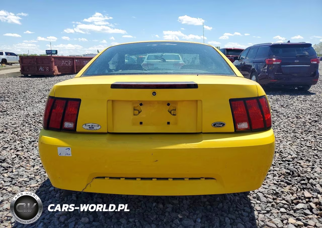 2004 Ford Mustang VIN:1FAFP40414F118874 - 6