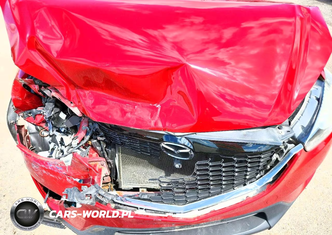 2014 Mazda Cx-5 Sport VIN:JM3KE4BE4E0409918 - 12