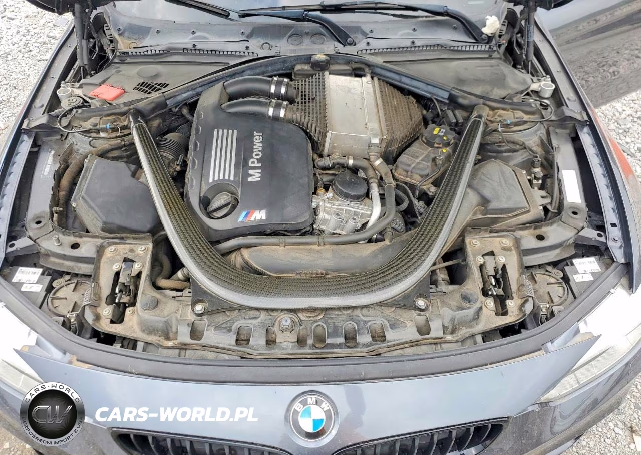 2015 BMW M4 VIN:WBS3U9C59FJ968526 - 11