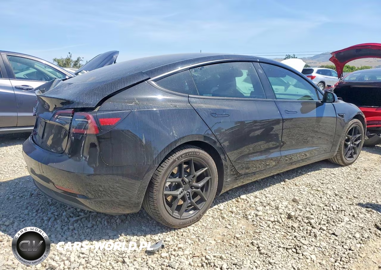 2023 Tesla Model 3 VIN:5YJ3E1EA7PF590263 - 3
