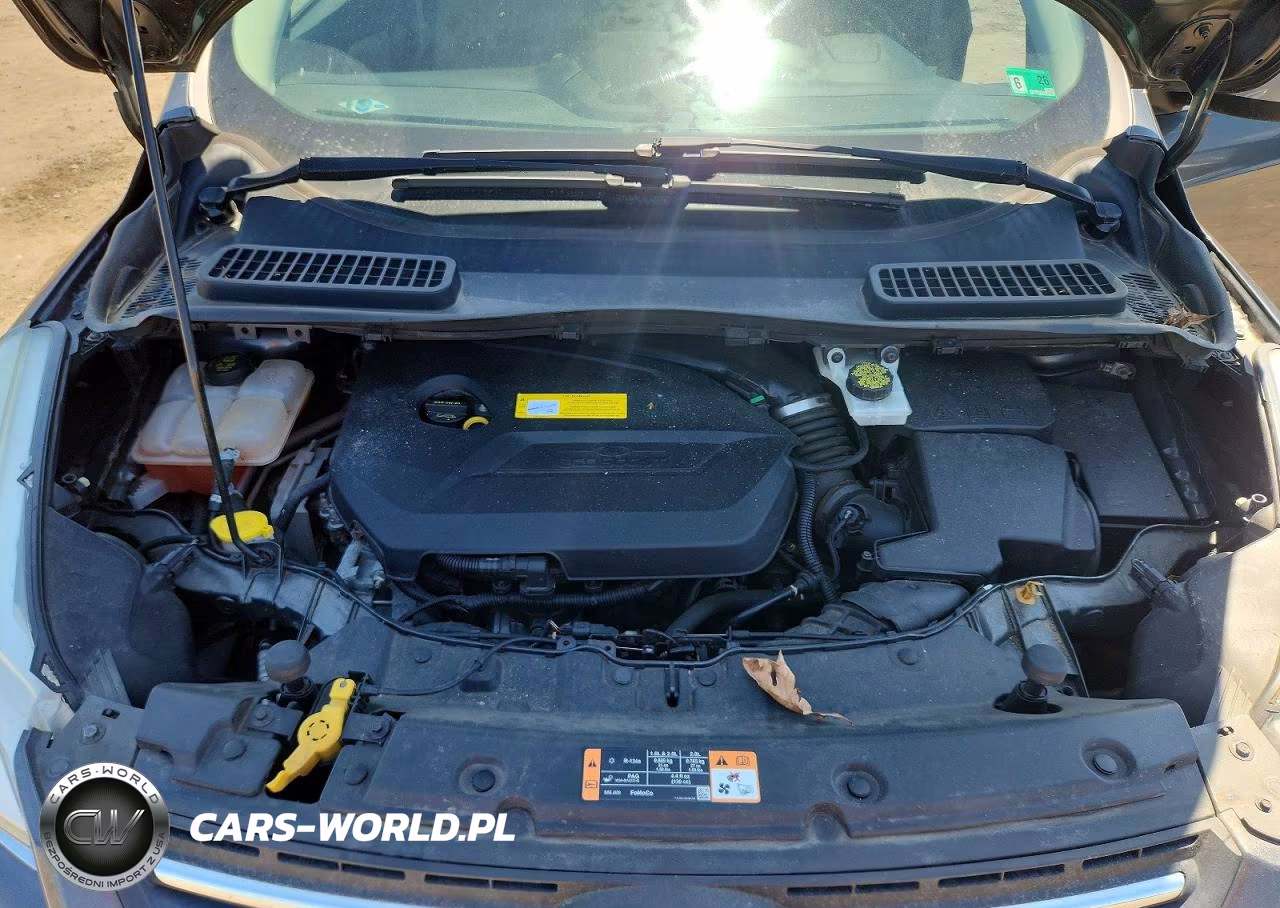 2016 Ford Escape Se VIN:1FMCU0GX7GUC86156 - 11