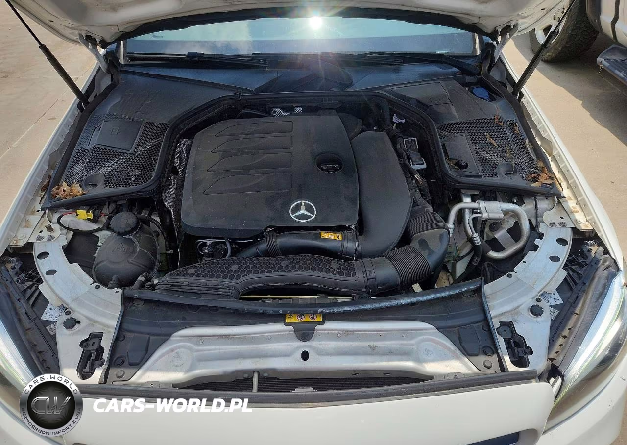 2019 Mercedes-Benz C 300 VIN:55SWF8DB2KU322130 - 11