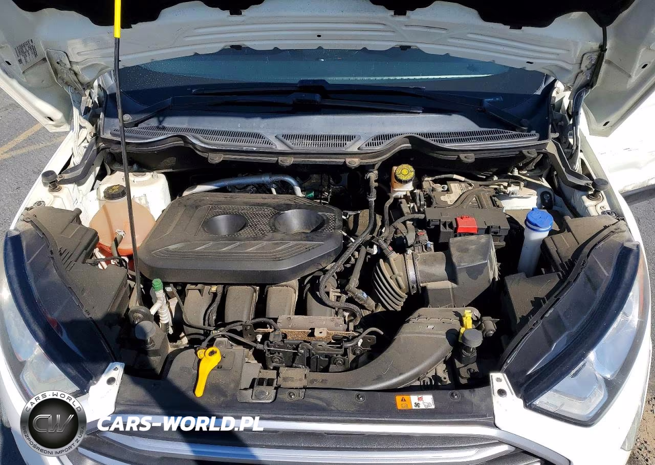 2019 Ford Ecosport Se VIN:MAJ6S3GLXKC290227 - 12