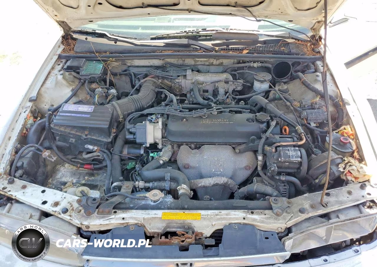 1991 Honda Accord Lx VIN:1HGCB7256MA020697 - 11