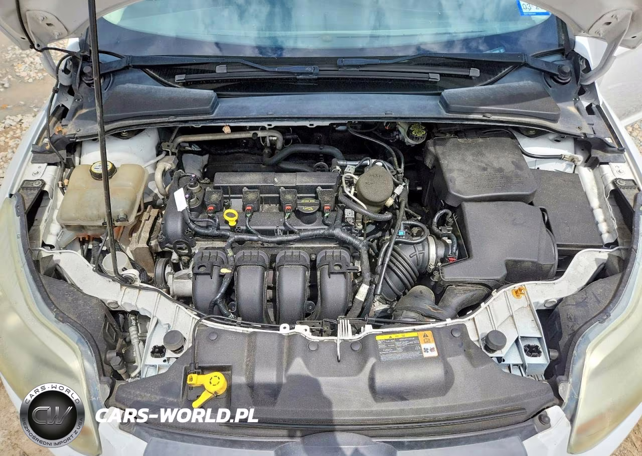2013 Ford Focus Se VIN:1FADP3K28DL306998 - 11