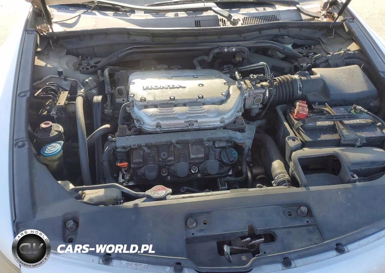 2008 Honda Accord Exl VIN:1HGCS22848A003173 - 11