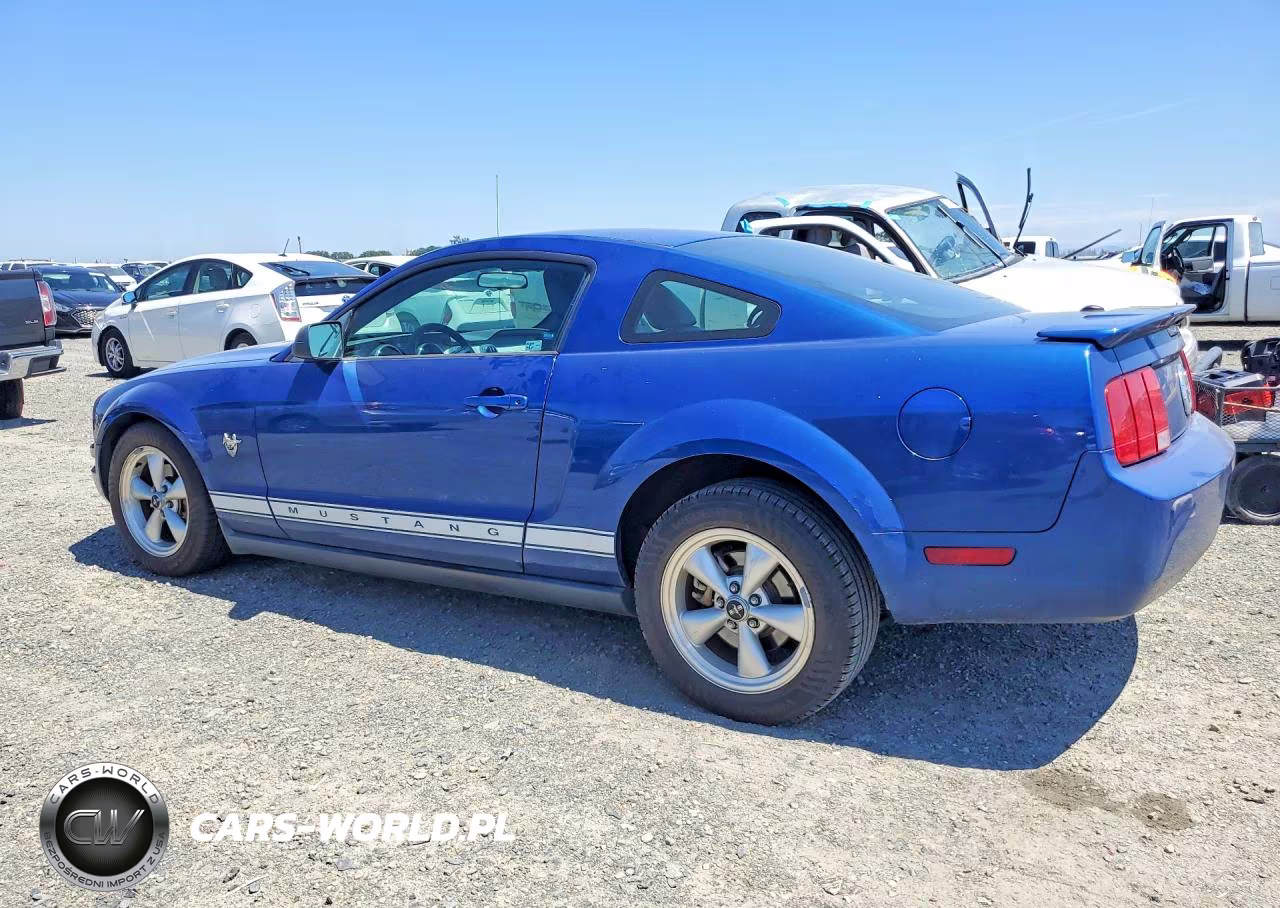 2009 Ford Mustang VIN:1ZVHT80N095113576 - 2