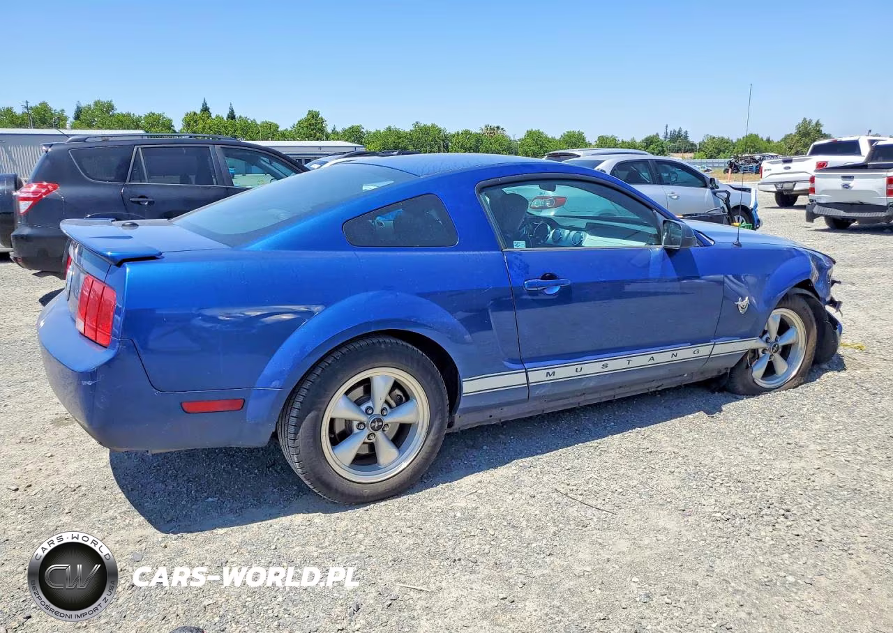2009 Ford Mustang VIN:1ZVHT80N095113576 - 3