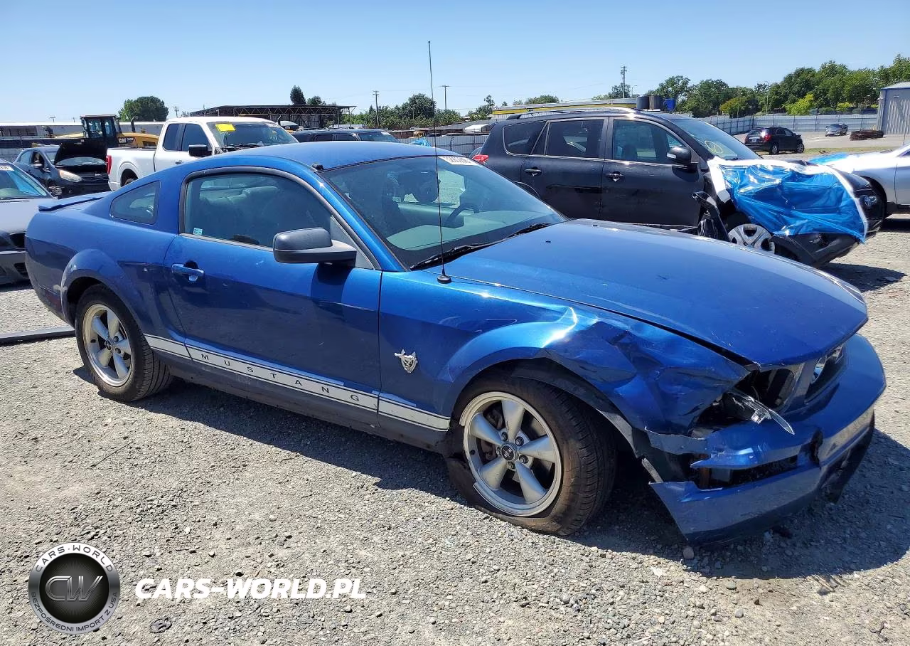 2009 Ford Mustang VIN:1ZVHT80N095113576 - 4