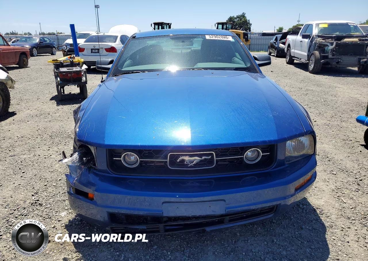 2009 Ford Mustang VIN:1ZVHT80N095113576 - 5