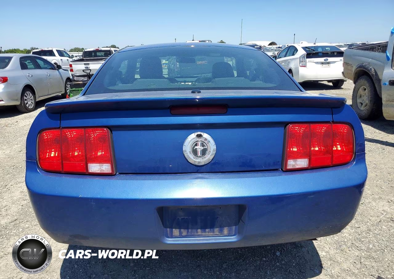 2009 Ford Mustang VIN:1ZVHT80N095113576 - 6