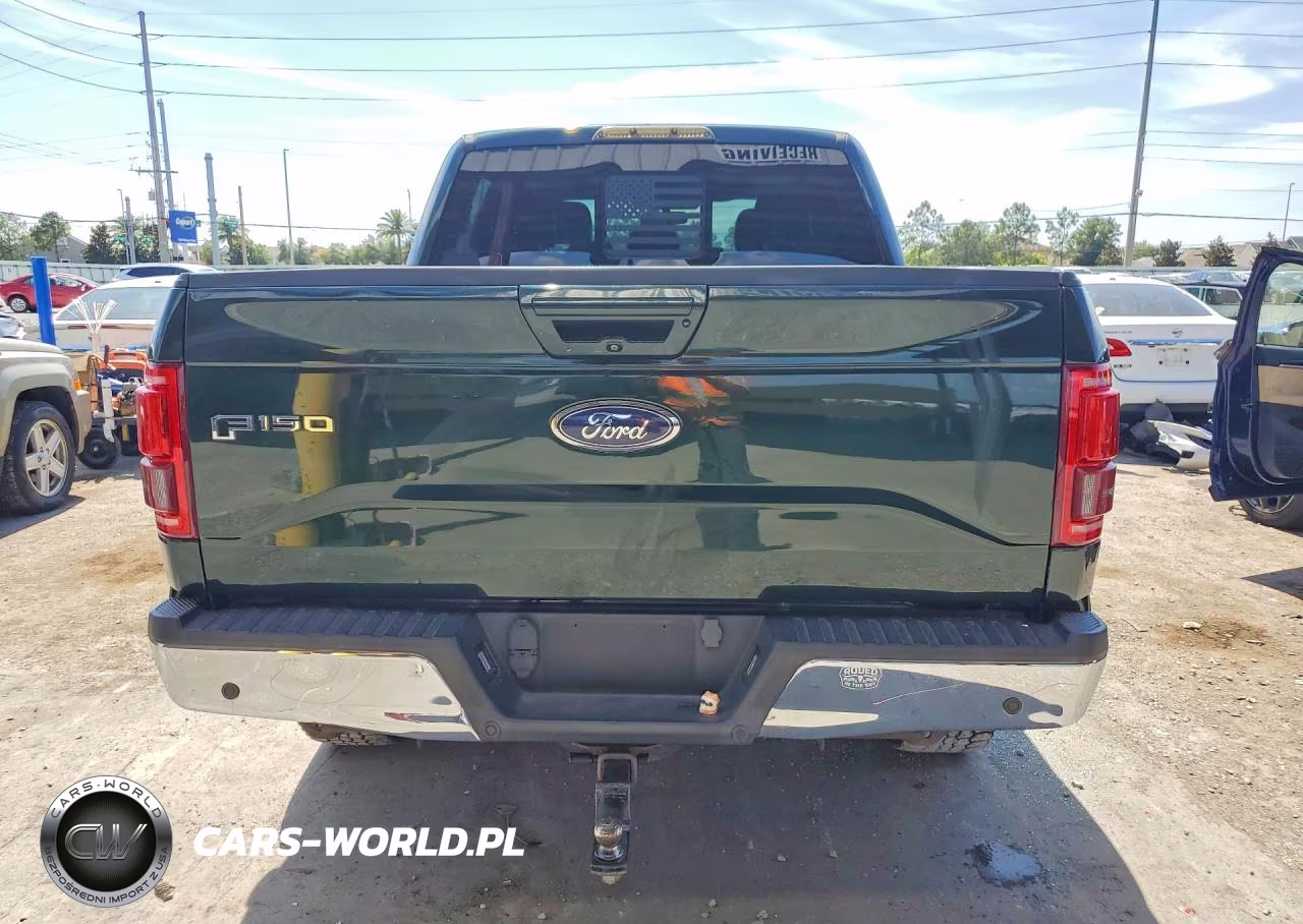 2016 Ford F150 Supercrew VIN:1FTEW1EP0GFC70367 - 6