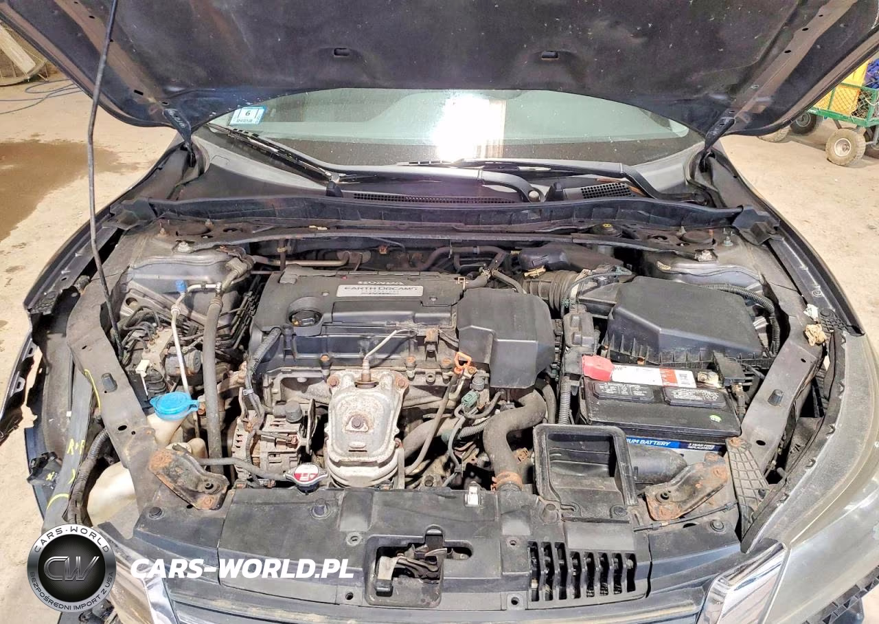 2013 Honda Accord Ex VIN:1HGCR2F70DA017420 - 11