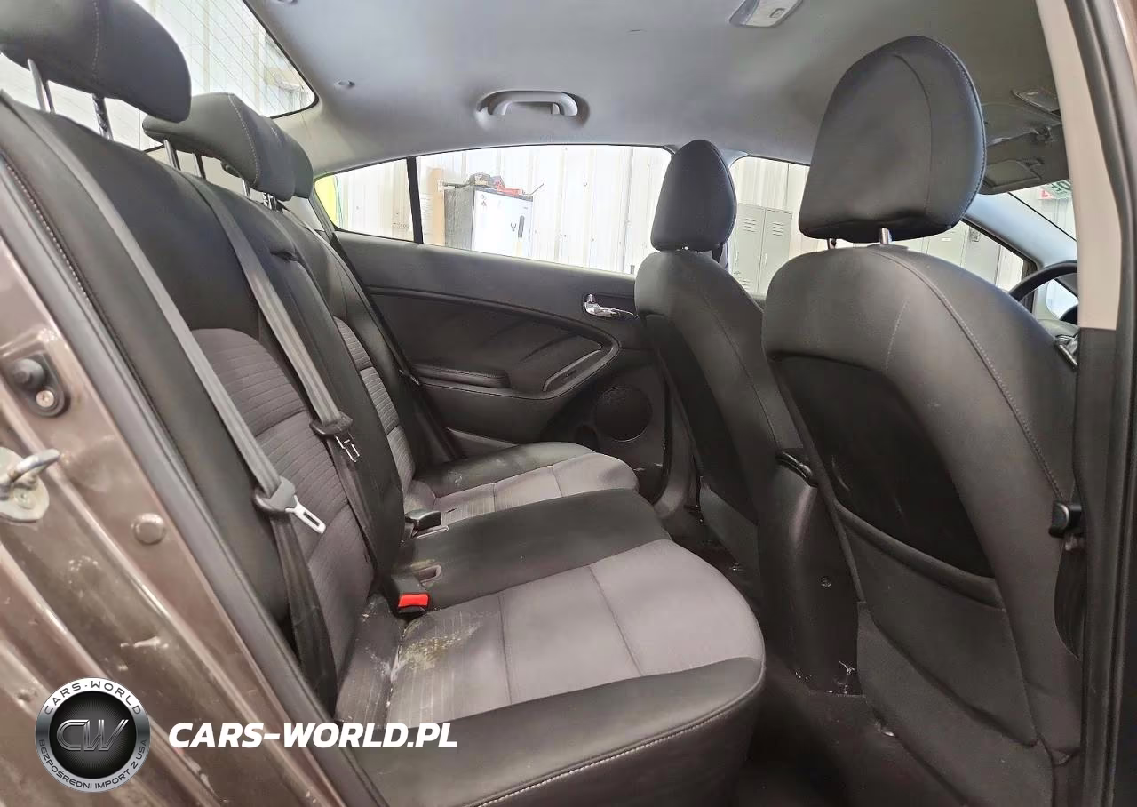 2014 Kia Forte Lx VIN:KNAFX4A66E5123390 - 10
