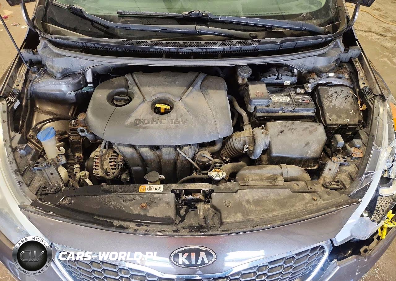 2014 Kia Forte Lx VIN:KNAFX4A66E5123390 - 11
