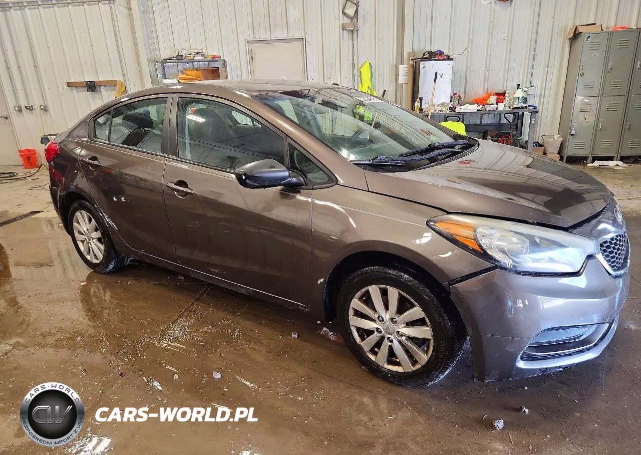 2014 Kia Forte Lx VIN:KNAFX4A66E5123390 - 4