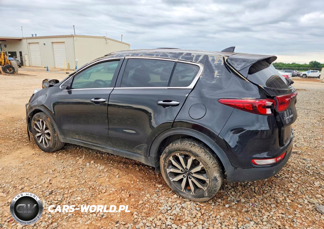 2017 Kia Sportage VIN:KNDPN3AC1H7164306 - 2