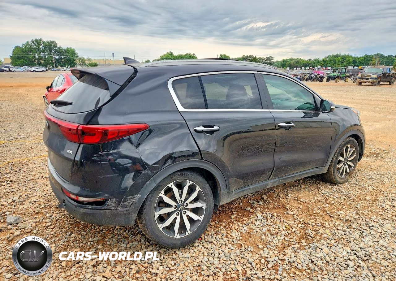 2017 Kia Sportage VIN:KNDPN3AC1H7164306 - 3