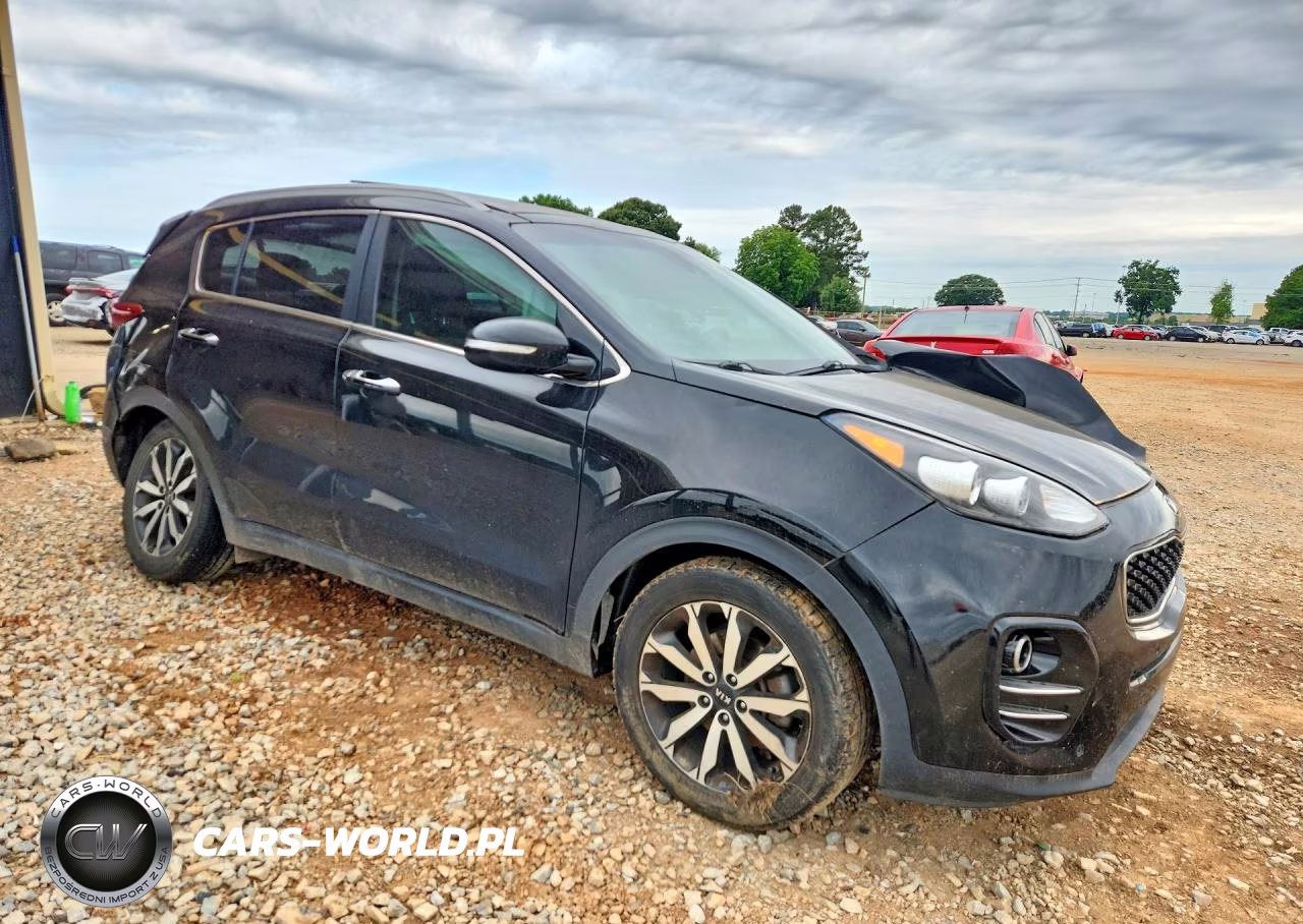 2017 Kia Sportage VIN:KNDPN3AC1H7164306 - 4