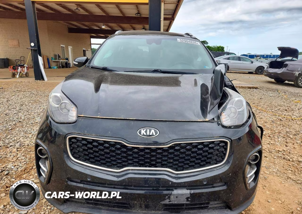 2017 Kia Sportage VIN:KNDPN3AC1H7164306 - 5
