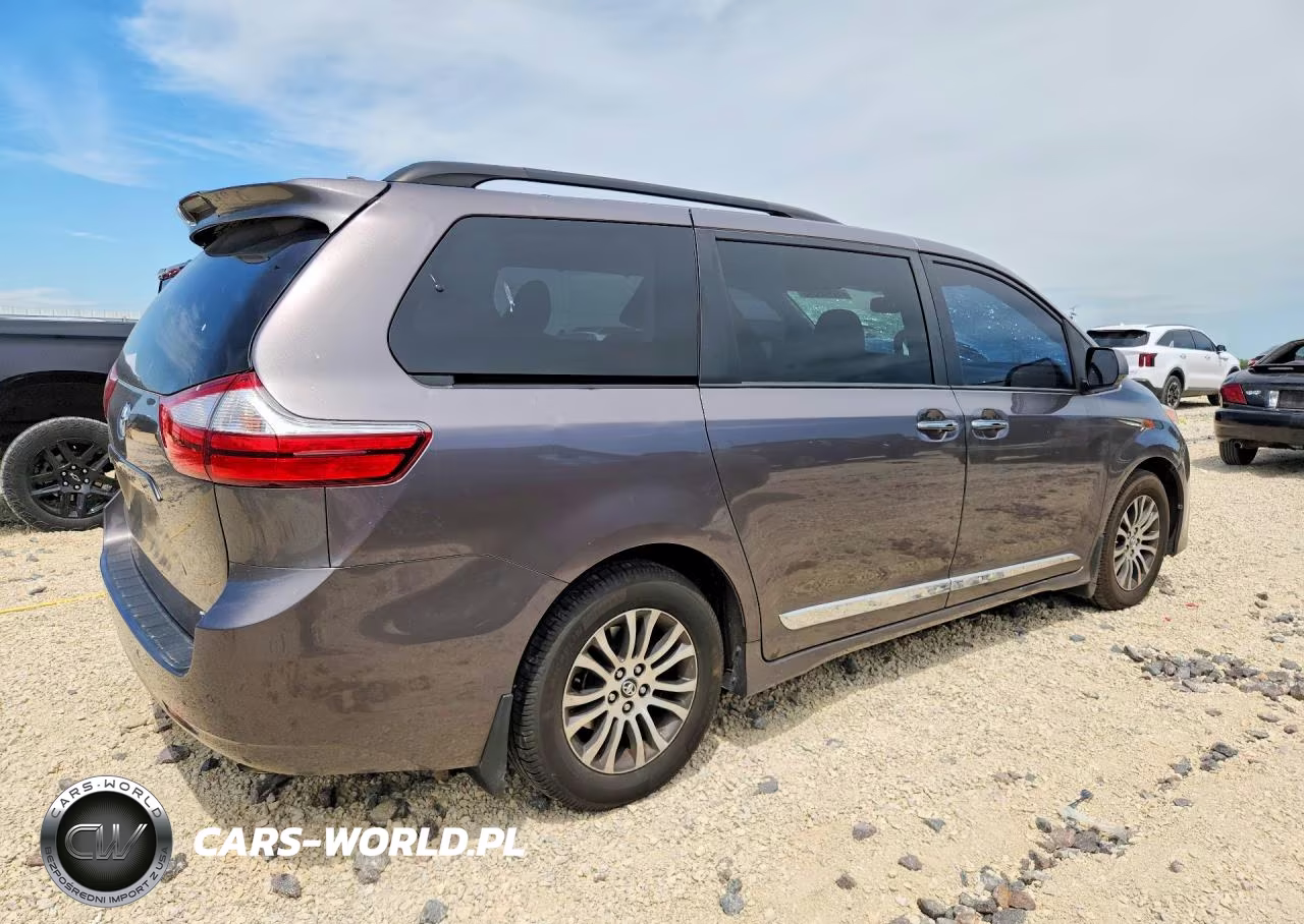 2019 Toyota Sienna Xle Premium 8-Passenger VIN:5TDYZ3DC6KS995012 - 3