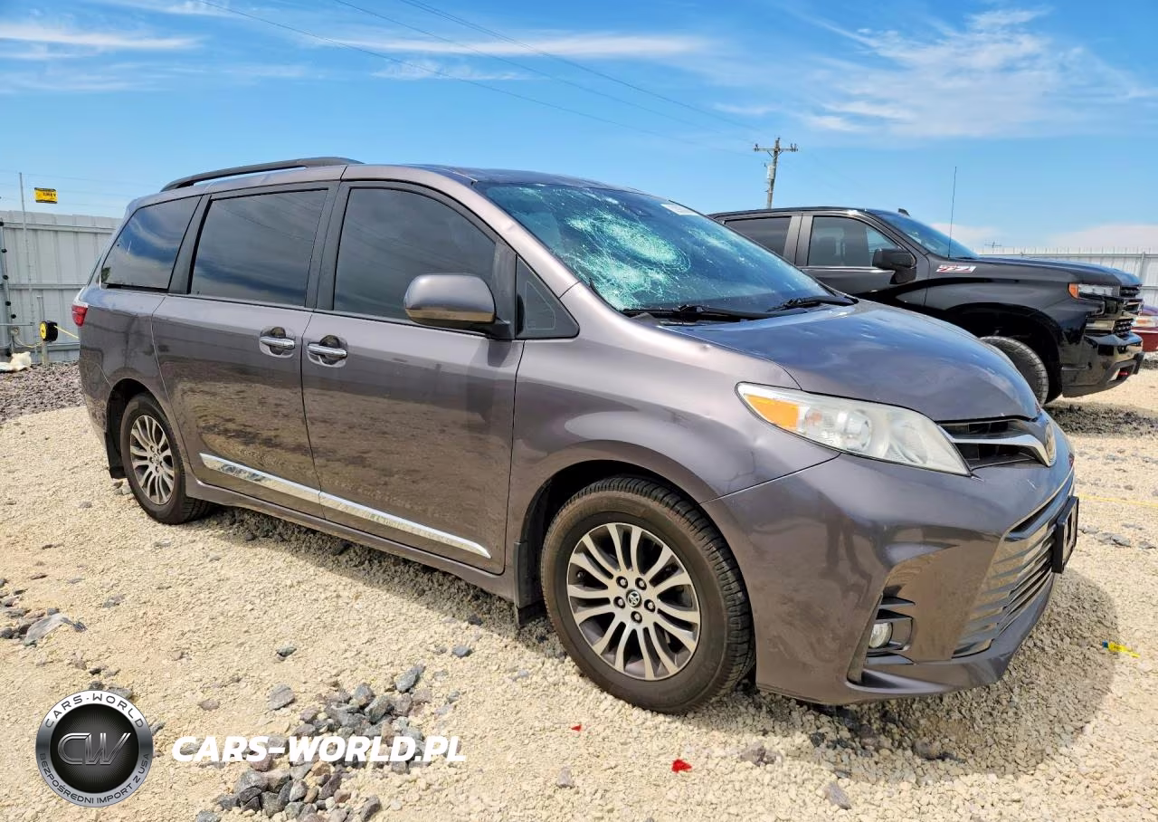 2019 Toyota Sienna Xle Premium 8-Passenger VIN:5TDYZ3DC6KS995012 - 4