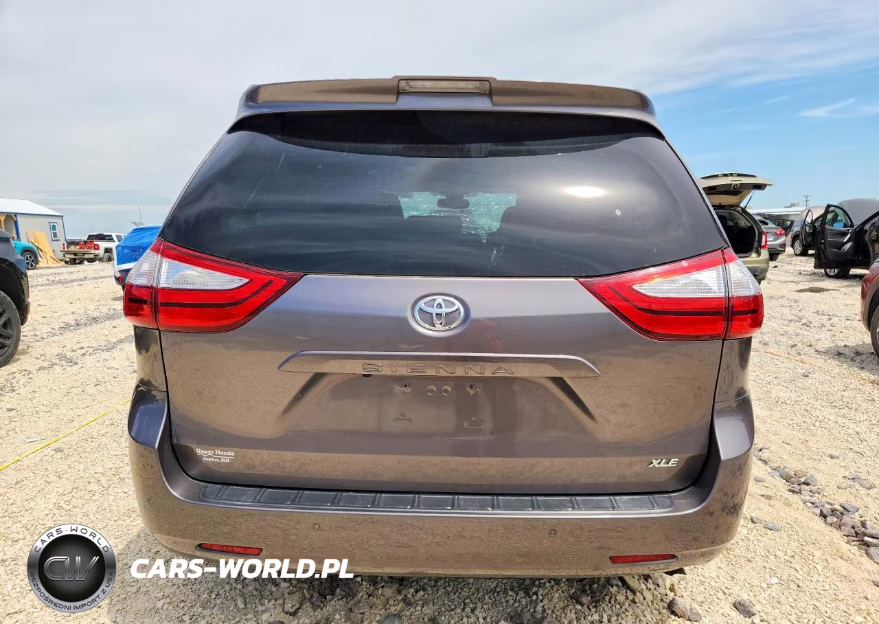 2019 Toyota Sienna Xle Premium 8-Passenger VIN:5TDYZ3DC6KS995012 - 6