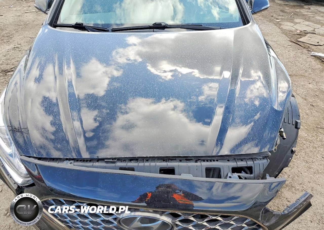 2019 Hyundai Sonata Limited VIN:5NPE34AF7KH753442 - 11