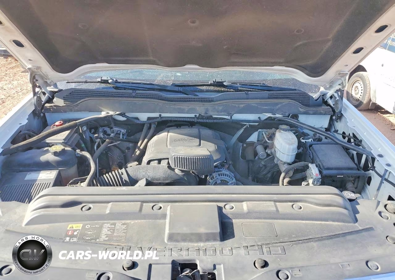 2019 Chevrolet Silverado C2500 Heavy Duty VIN:2GB2CREG5K1230848 - 11
