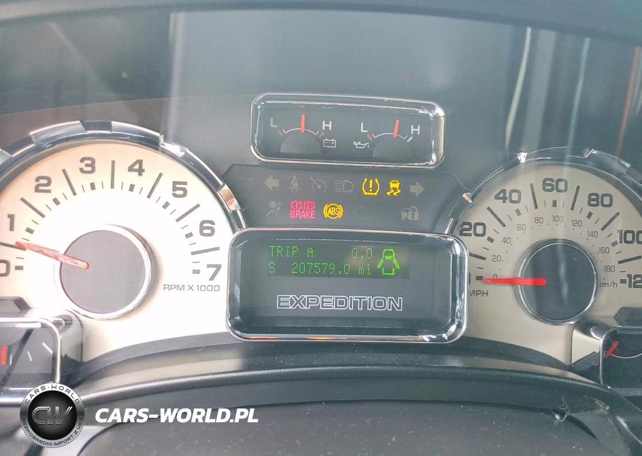 2010 Ford Expedition Limited VIN:1FMJU2A58AEB46158 - 9