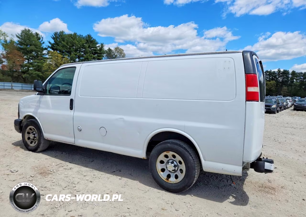 2010 Chevrolet Express G1500 VIN:1GCUGADX3A1163862 - 2