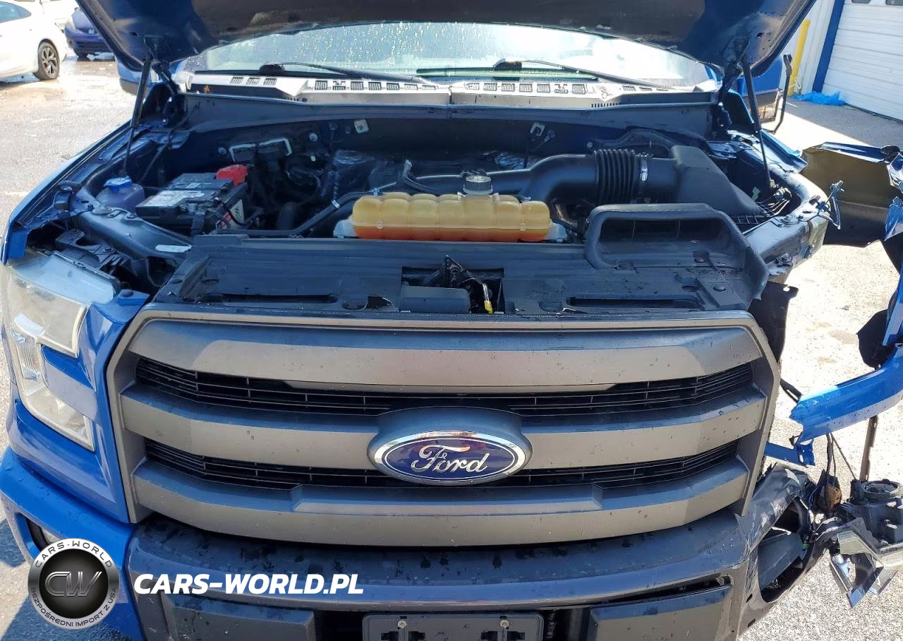 2015 Ford F150 Supercrew VIN:1FTEW1EP0FKD16592 - 11
