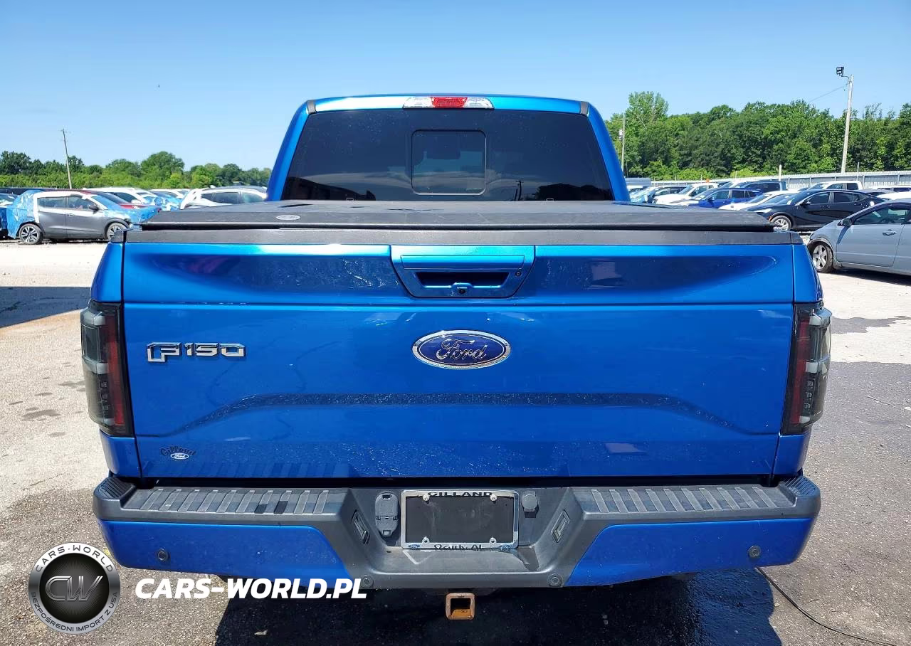 2015 Ford F150 Supercrew VIN:1FTEW1EP0FKD16592 - 6