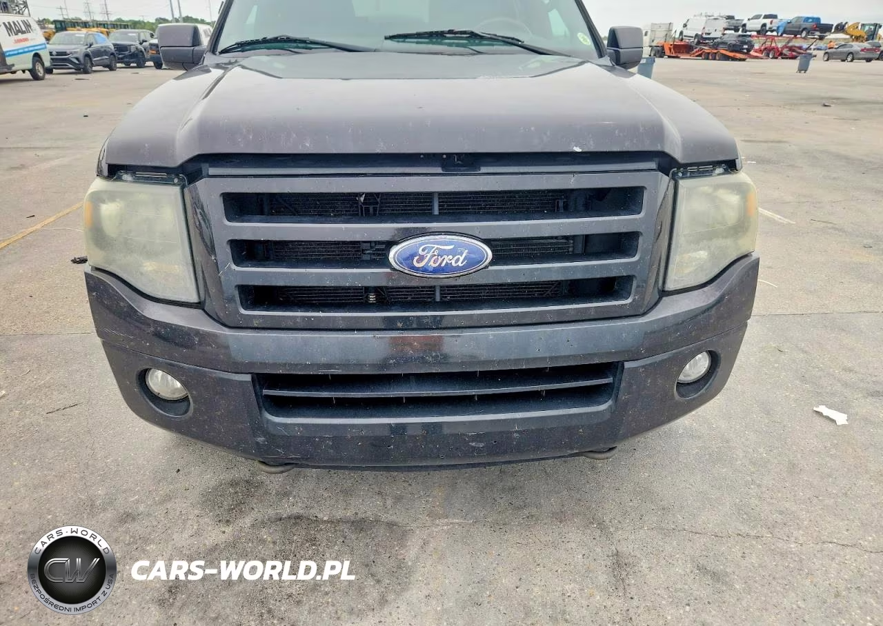 2010 Ford Expedition Limited VIN:1FMJU2A58AEA48084 - 12